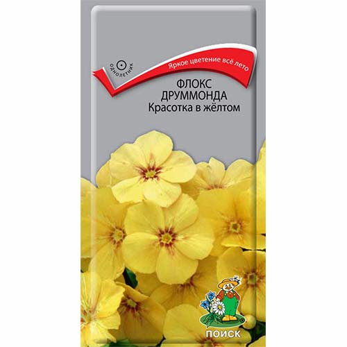Флокс Друммонда Красотка в желтом Поиск изображение 1 артикул 81801