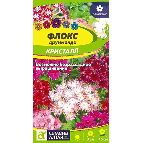 Флокс Друммонда Кристалл Семена Алтая артикул фото 1 Флокс Друммонда Кристалл Семена Алтая изображение 1 артикул 81803