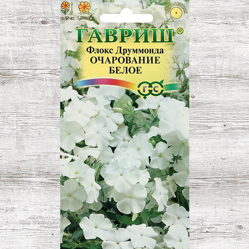 Флокс Друммонда Очарование белое Гавриш изображение 1 артикул 73914