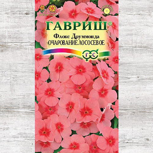 Флокс Друммонда Очарование лососевое Гавриш изображение 1 артикул 73917