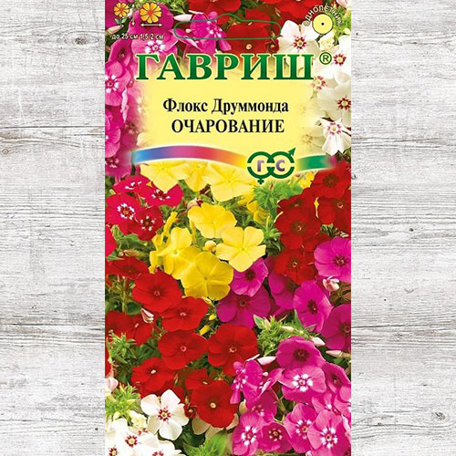 Флокс Друммонда Очарование, смесь окрасок изображение 1 артикул 73921