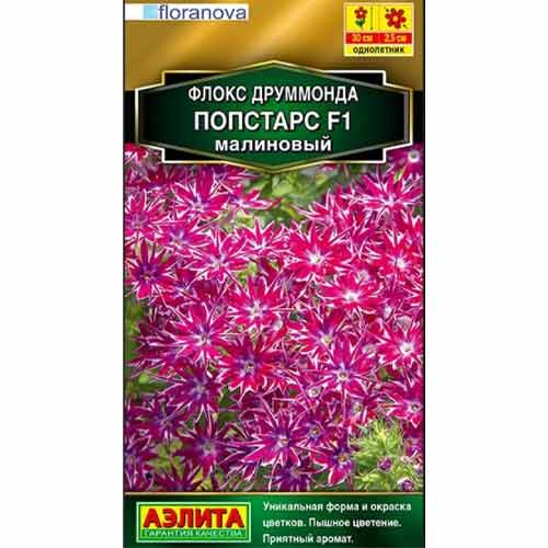 Флокс друммонда Попстарс малиновый F1 Аэлита изображение 1 артикул 99169