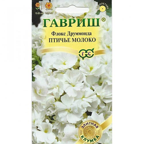 Флокс Друммонда Птичье молоко, семена изображение 1 артикул 92237