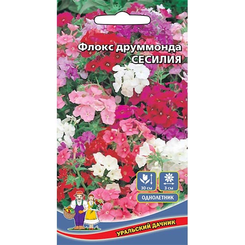 Флокс Друммонда Сесилия, смесь окрасок изображение 1 артикул 94848
