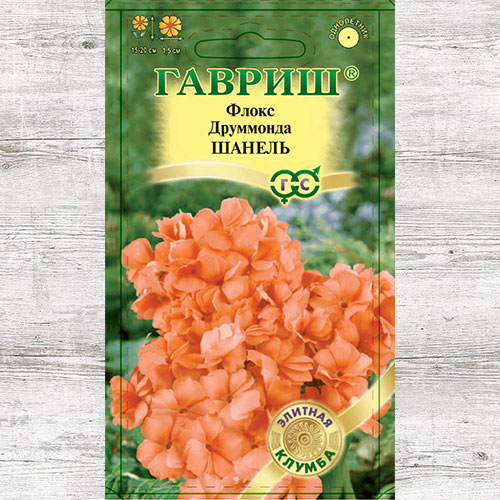 Флокс Друммонда Шанель Гавриш изображение 1 артикул 73922