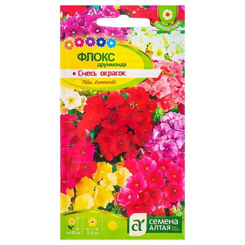Флокс Друммонда, смесь окрасок изображение 1 артикул 78173