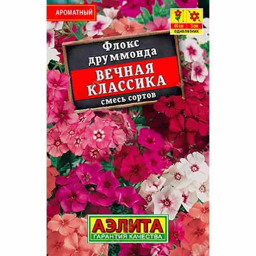 Флокс друммонда Вечная классика, смесь окрасок Аэлита изображение 1 артикул 99162