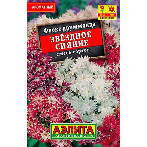 Флокс друммонда Звездное сияние, смесь окрасок Аэлита изображение 1 артикул 99163