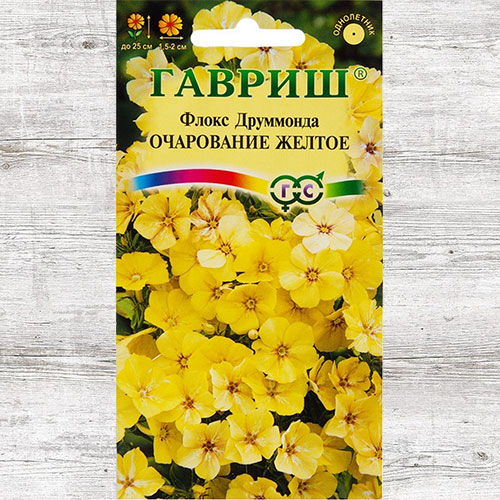 Флокс Друммонда Очарование желтое Гавриш изображение 1 артикул 73915