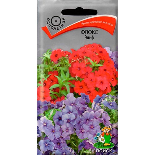 Флокс Эльф, смесь окрасок изображение 1 артикул 93139