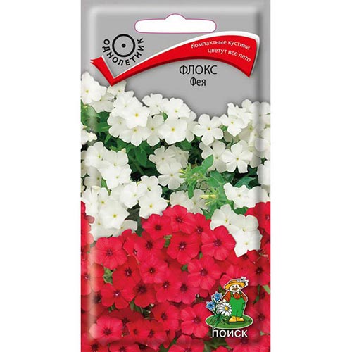 Флокс Фея, смесь окрасок изображение 1 артикул 93138