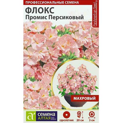 Флокс Друммонда Промис персиковый Семена Алтая изображение 1 артикул 78175
