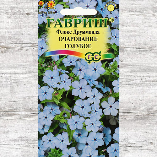Флокс Друммонда Очарование голубое Гавриш изображение 1 артикул 71257