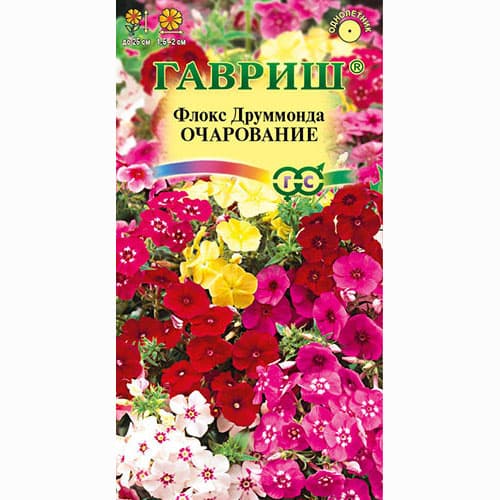 Флокс друммонда Очарование, смесь окрасок Гавриш изображение 1 артикул 66146