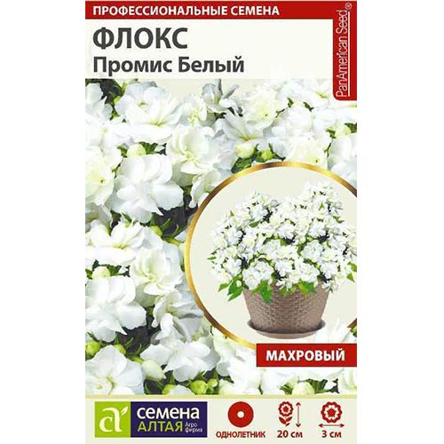Флокс Друммонда Промис белый Семена Алтая изображение 1 артикул 81804