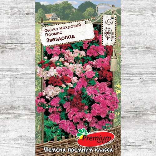 Флокс Промис, смесь окрасок изображение 1 артикул 83968