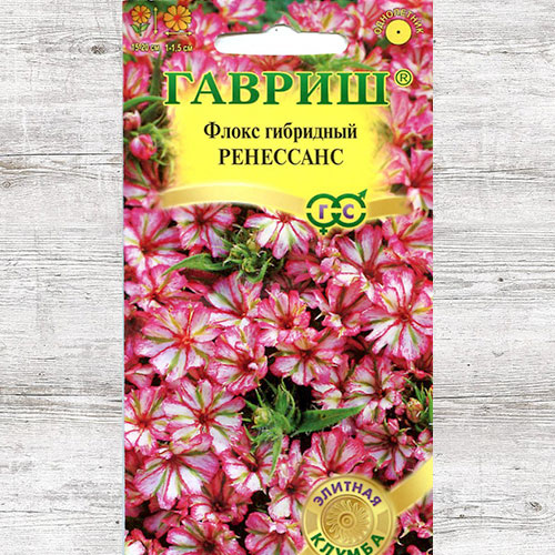 Флокс Ренессанс Гавриш изображение 1 артикул 82439