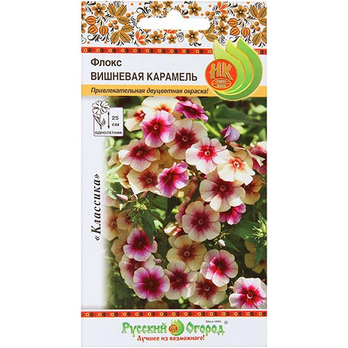 Флокс Вишневая карамель, семена изображение 1 артикул 92640