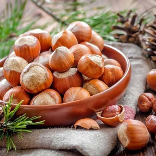 Фундук Шедевр изображение 1 артикул 7452