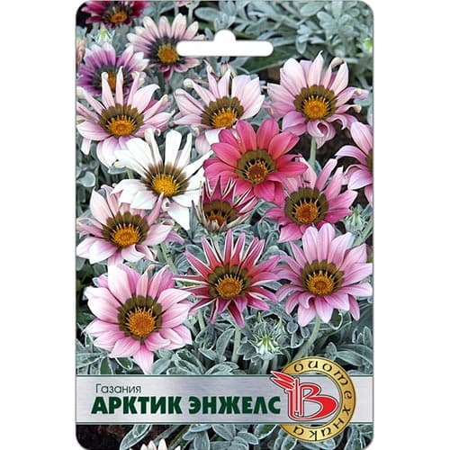 Газания Арктик Энжелс Биотехника изображение 1 артикул 91582