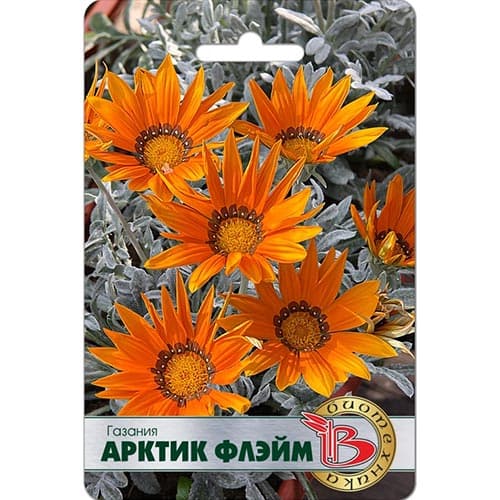 Газания Арктик Флэйм Биотехника изображение 1 артикул 91581