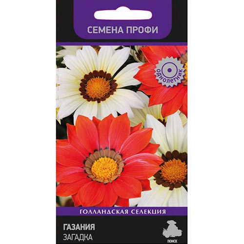 Гацания (газания) Загадка, смесь окрасок изображение 1 артикул 92935