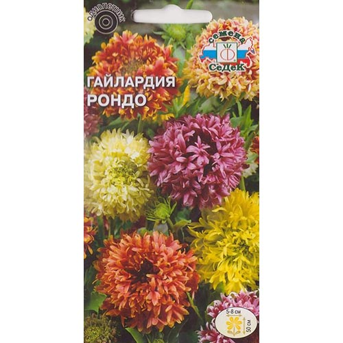 Гайлардия Рондо, семена изображение 1 артикул 93718