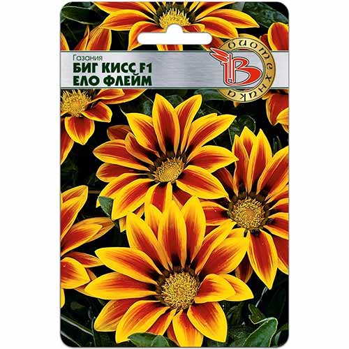 Газания Биг Кисс Ело Флейм F1 Биотехника изображение 1 артикул 74075