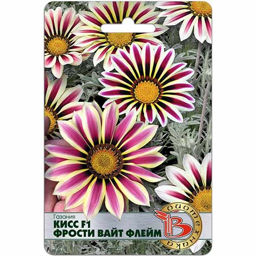 Газания Кисс Фрости Вайт Флейм F1 изображение 1 артикул 84619
