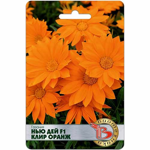 Газания Нью Дей Клир Оранж F1 Биотехника изображение 1 артикул 84622