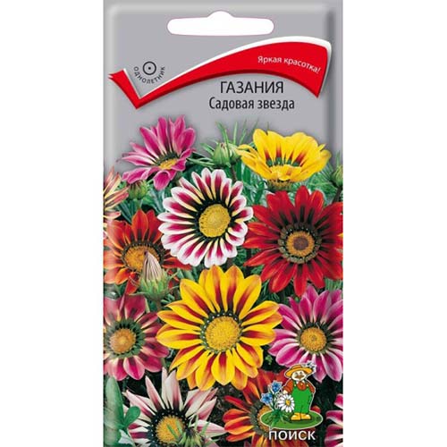 Газания Садовая звезда, смесь окрасок Поиск изображение 1 артикул 82094