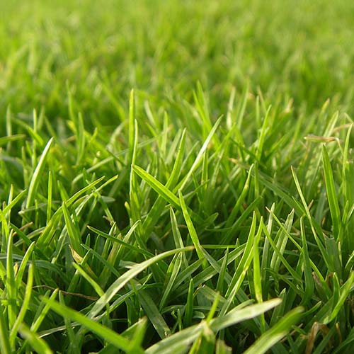 Газон Гринмастер Русский огород НК изображение 1 артикул 82757