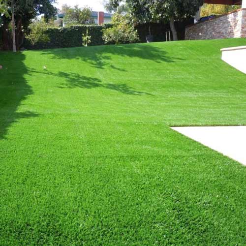 Газон Милипут, семена изображение 1 артикул 65680