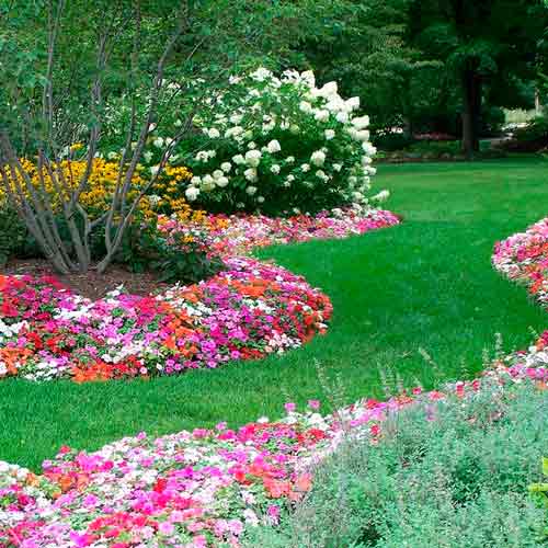 Газон Универсальный, семена изображение 1 артикул 65685