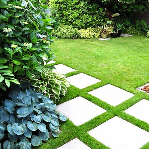 Газон Вдоль дорожки, семена изображение 1 артикул 66051