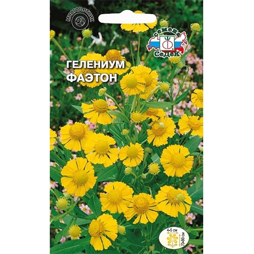 Гелениум Фаэтон, семена артикул фото 1 Гелениум Фаэтон, семена изображение 1 артикул 93735