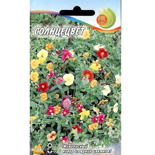 Гелиантемум (солнцецвет), смесь окрасок артикул фото 1 Гелиантемум (солнцецвет), смесь окрасок изображение 1 артикул 92493