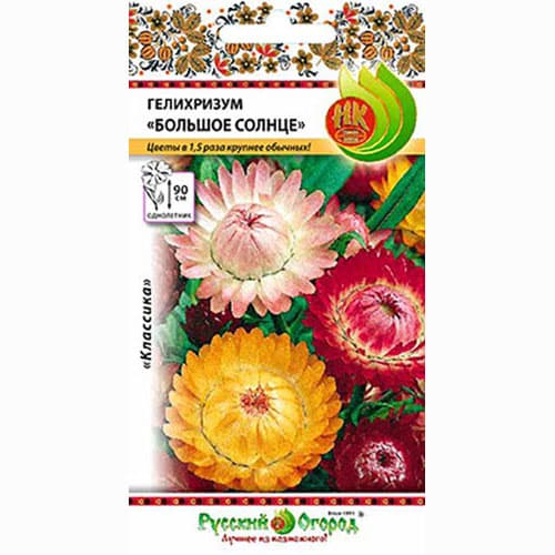 Гелихризум Большое солнце, смесь окрасок изображение 1 артикул 69933