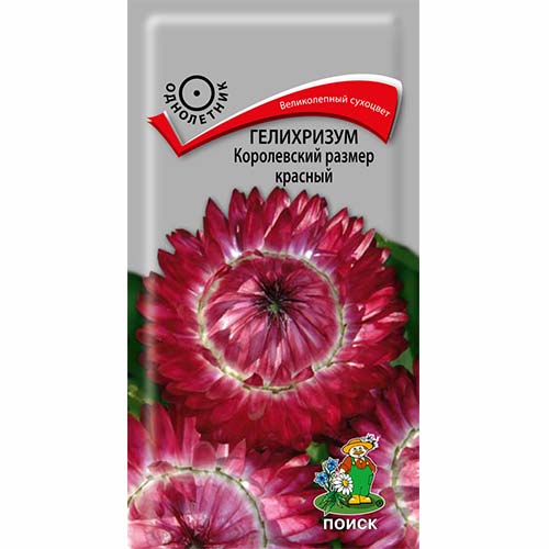 Гелихризум Королевский размер красный Поиск артикул фото 1 Гелихризум Королевский размер красный Поиск изображение 1 артикул 82103