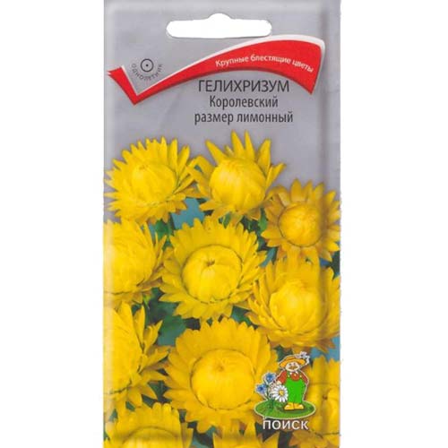 Гелихризум Королевский размер лимонный Поиск артикул фото 1 Гелихризум Королевский размер лимонный Поиск изображение 1 артикул 82104