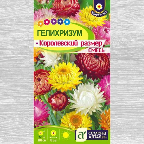 Гелихризум Королевский размер, смесь окрасок изображение 1 артикул 83203