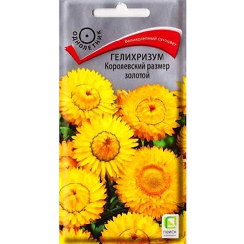 Гелихризум Королевский размер золотой Поиск изображение 1 артикул 82102