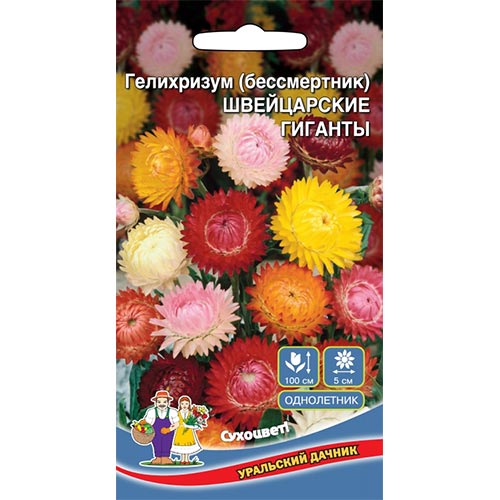 Гелихризум Швейцарские гиганты, смесь окрасок изображение 1 артикул 94779