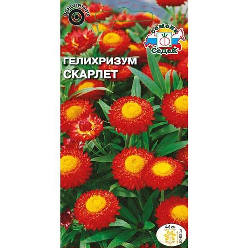 Гелихризум Скарлет, семена изображение 1 артикул 93742