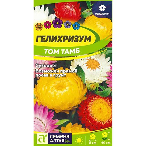 Гелихризум Том Тамб, смесь окрасок изображение 1 артикул 94159