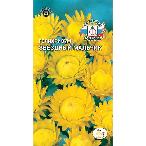Гелихризум Звездный мальчик, семена изображение 1 артикул 93739