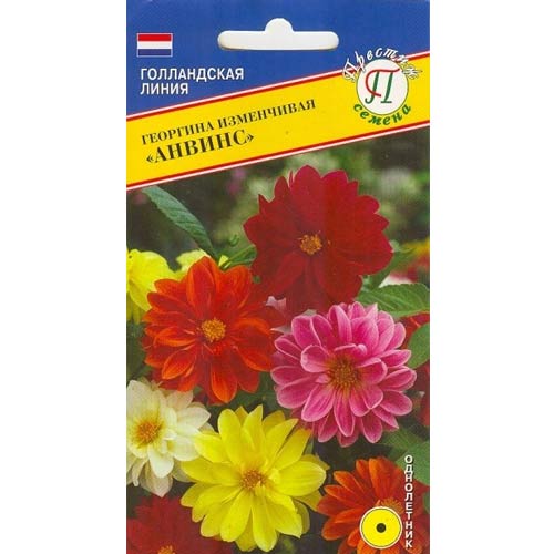 Георгина Анвинс, смесь окрасок Престиж изображение 1 артикул 84469