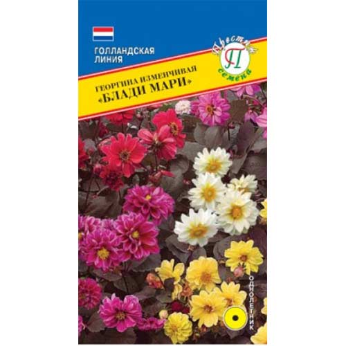 Георгина Блади Мари, смесь окрасок Престиж изображение 1 артикул 71429