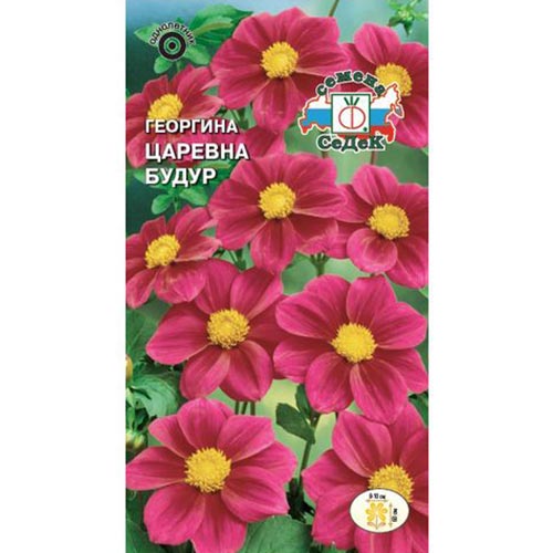 Георгина Царевна Будур, семена изображение 1 артикул 93746