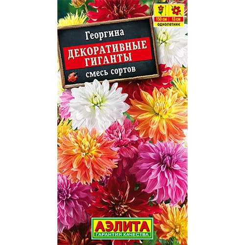Георгина Декоративные гиганты, смесь окрасок Аэлита изображение 1 артикул 98931